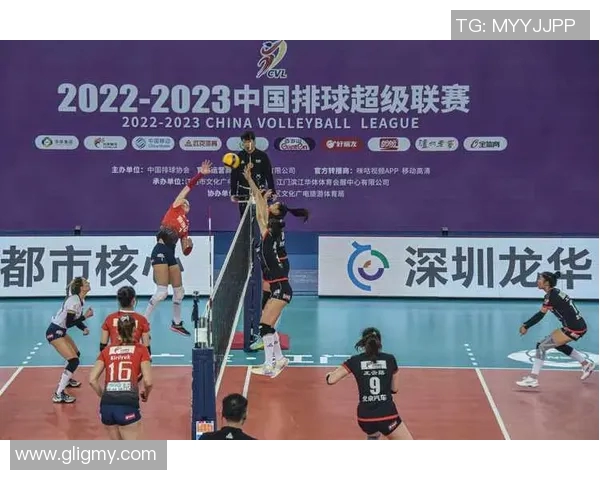 深圳排球队在精英赛中的技术表现分析与点评